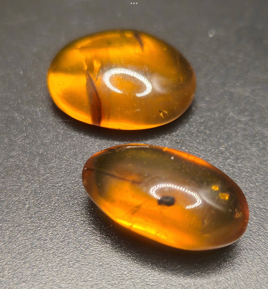 Amber Stones With Insects