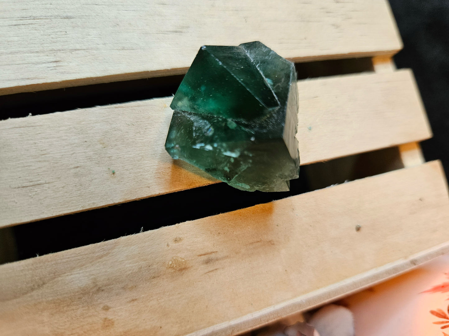 Pocket Forest Fluorite