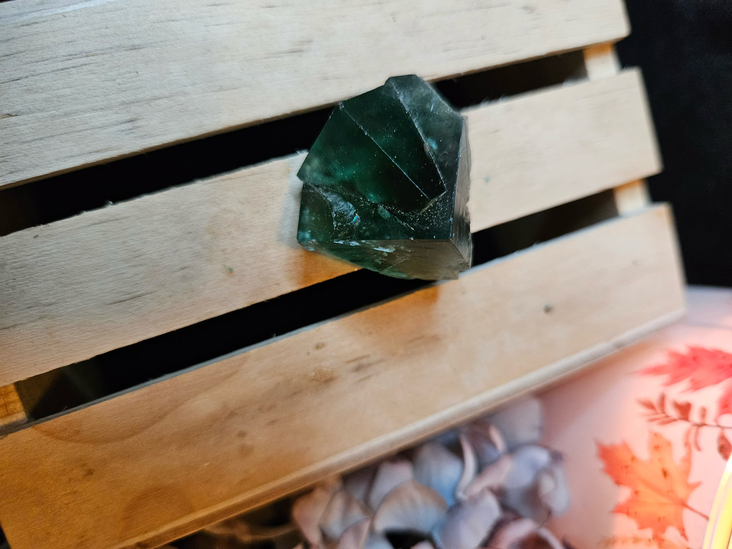 Pocket Forest Fluorite